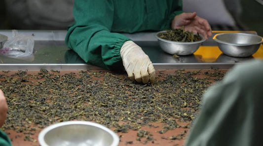 best organic tea in Australia
