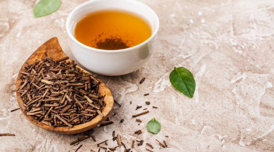 Hojicha 101: Introducing Roasted Green Tea Powder, Its Distinct Taste, and Japanese Tea Differences - Tea Stop