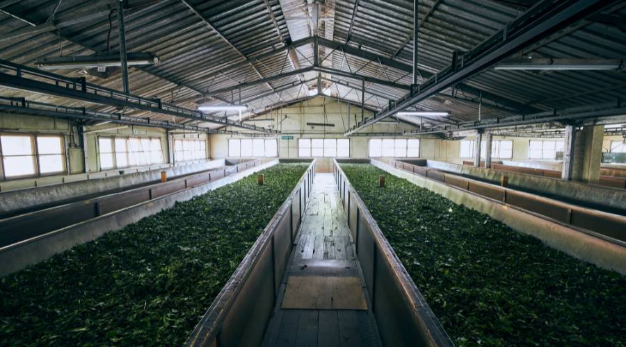 From Leaf to Cup: The Journey of Organic Tea Production - Hand-Blending for Quality - Tea Stop