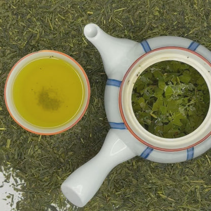 Tea Stop Premium Organic Japanese Sencha Green Tea